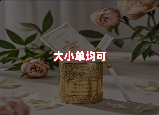 专业团队